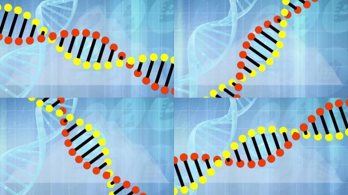 dna链上的时钟移动和医学图标的动画