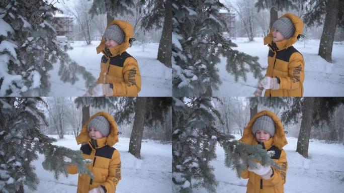 孩子摇下圣诞树上的雪，微笑着。这个孩子穿着一件温暖的冬季夹克和一顶灰色针织帽子。玩雪。对冬天的爱。雪