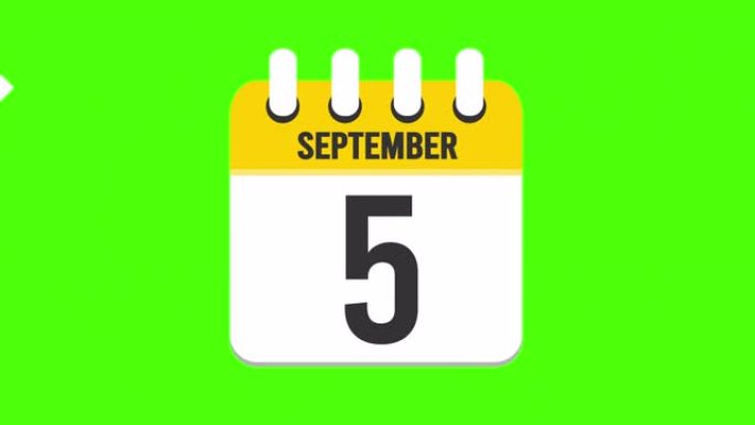 9月5日。日历出现，页面下降到9月5日。绿色背景，色度键 (4k循环)