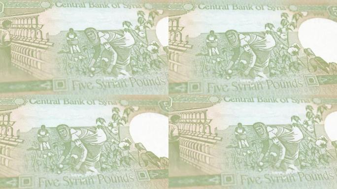 叙利亚叙利亚镑5纸币，五叙利亚镑，叙利亚镑的特写和宏观视图，跟踪和多莉拍摄5叙利亚镑纸币观察和储备方