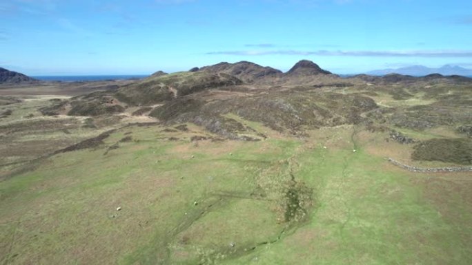 空中无人机画面缓慢向前飞行，同时扭曲，显示出偏远的岩石山丘和绵羊在苏格兰高地 (Ardnamurch