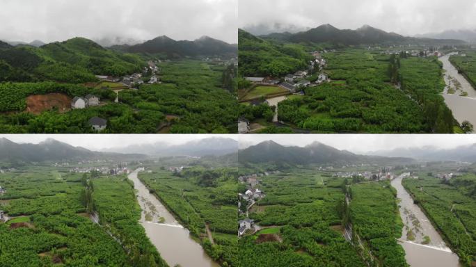 雨雾山水青山南方航拍绿山