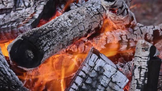 篝火烧掉后的灰烬余烬，木头已经准备好烧烤烹饪