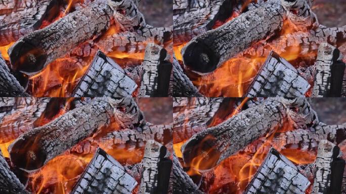 篝火烧掉后的灰烬余烬，木头已经准备好烧烤烹饪