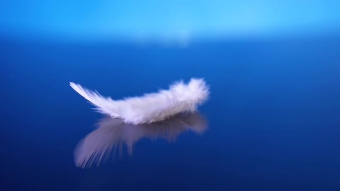 白色蓬松的羽毛落在蓝色背景上的水面上。4k微距慢动作视频60 fps。