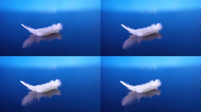 白色蓬松的羽毛落在蓝色背景上的水面上。4k微距慢动作视频60 fps。