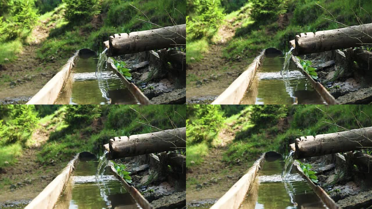 木制饮用自然喷泉。秋季森林溪流中新鲜清澈寒冷的山水。地球生态学