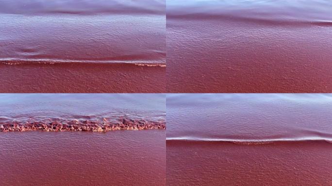 地中海的赤潮特写沙滩海水