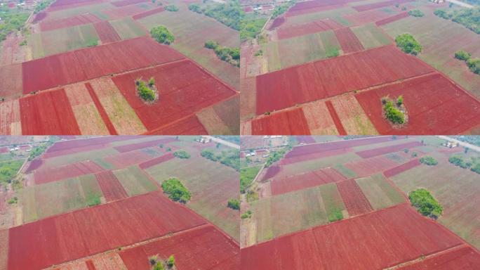 农业概念中红壤，农作物田地绿山的空中俯视图。泰国的自然景观背景。收获
