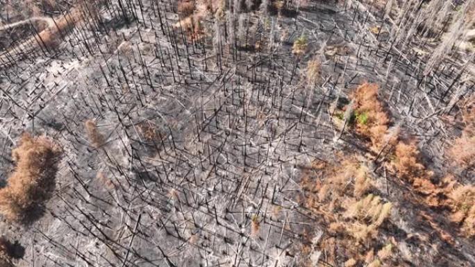 鸟瞰图，烧毁的森林和土地，乡村景观中的自然环境，揭示了无人机射击