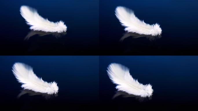 白色蓬松的羽毛在蓝色背景上缓慢漂浮在水面上。4k微距慢动作视频。