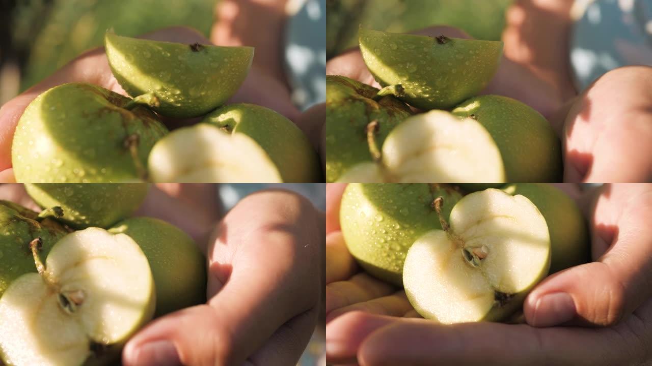 青苹果。在晴朗的晴天，美丽的新鲜青苹果在女性手掌中的特写镜头，相机缓慢移动