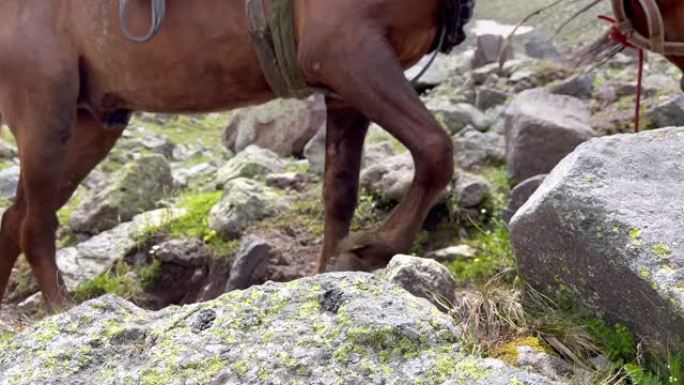 高加索山脉的岩石路径路线，带有移动的马的镜头，里面装有探险物品。旅行和运输4k概念视频。