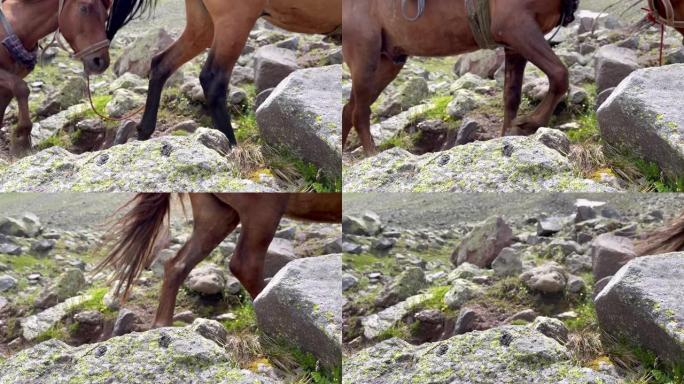 高加索山脉的岩石路径路线，带有移动的马的镜头，里面装有探险物品。旅行和运输4k概念视频。