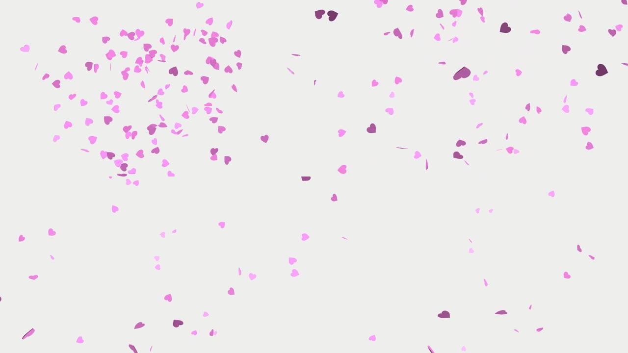 白色背景上的粉红色心形爆炸。心脏五彩纸屑。情人节的节日效果。3D动画
