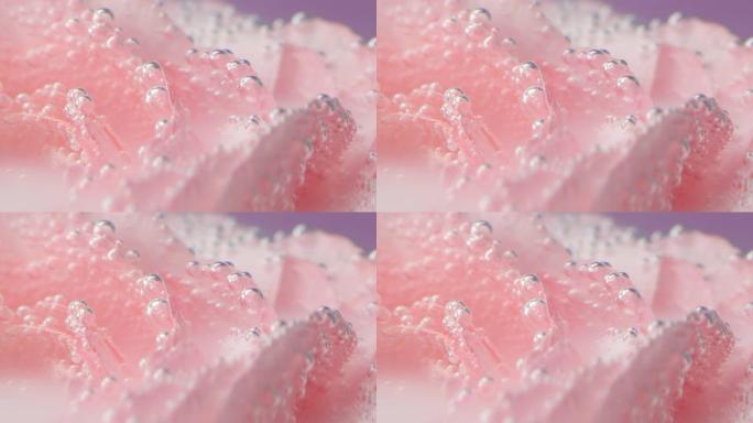 带有气泡的粉红色花瓣的特写镜头。库存镜头。精致的玫瑰花瓣，水下有气泡。在清新的清水中玫瑰，带有气泡
