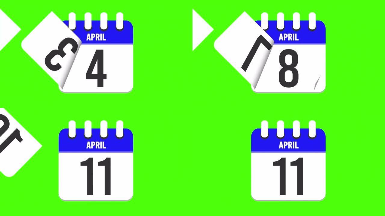 4月11日。日历出现，页面下降到4月11日。绿色背景，色度键 (4k循环)