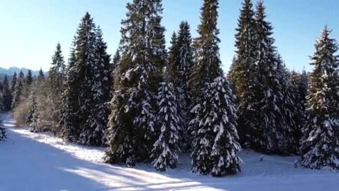 山里白雪覆盖的小屋的鸟瞰图。雪白的冬天风景。美丽的山间小屋或小屋在冬季森林中被雪覆盖。
