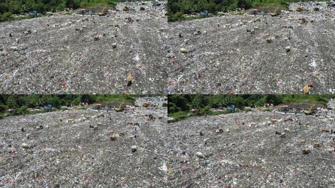 一个充满垃圾的城市垃圾场的鸟瞰图。一群在垃圾填埋场吃垃圾的奶牛。生态和健康问题。