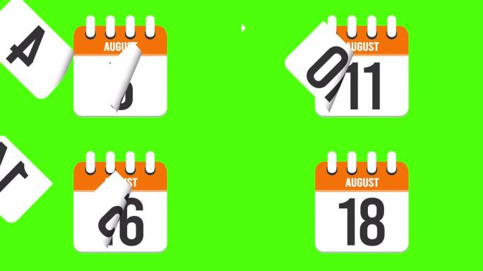 8月18日。日历出现，页面下降到8月18日。绿色背景，色度键 (4k循环)