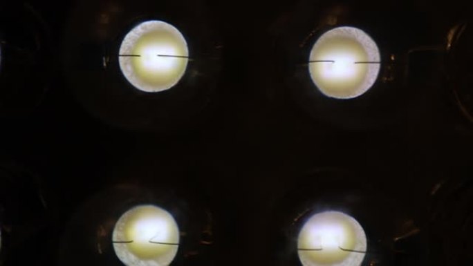 4k发光二极管灯视频显示元素发光