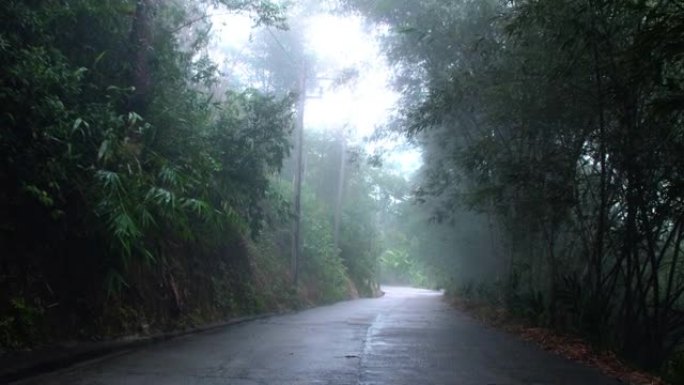 早晨雾蒙蒙的森林之路在多雨的树林中神秘的秋天风景。在雾中走过秋天的神秘之路