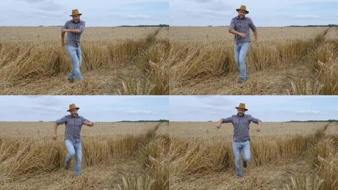 人成功快乐。洗牌舞快乐男人农民在麦田跳舞享受。庆祝有趣的病毒舞蹈自由。兴奋地庆祝成功，成就跳舞。