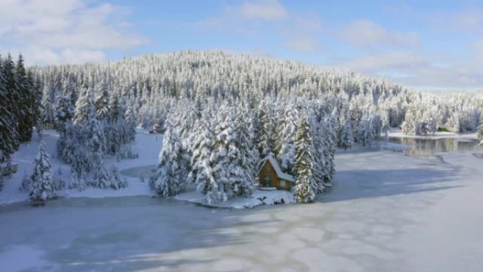 小木屋的鸟瞰图依偎在白雪皑皑的松树中。