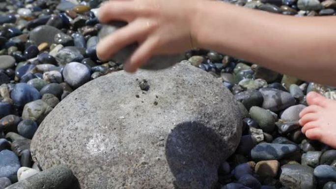 在阳光明媚的夏日，孩子在岸上玩石头
