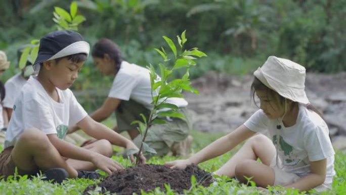 团体志愿者种植森林作为拯救世界的概念。