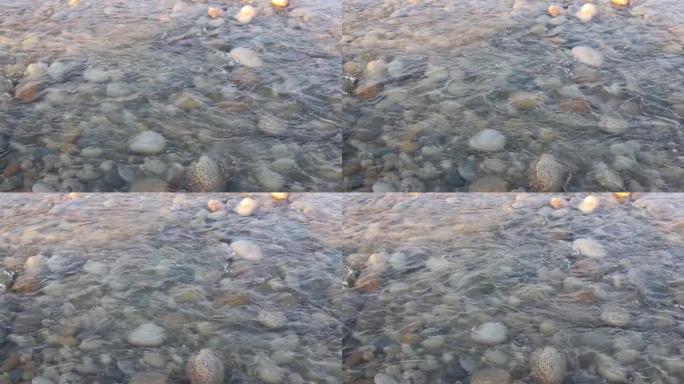 晶莹剔透的干净，用斯瓦特河的清澈卵石看透水