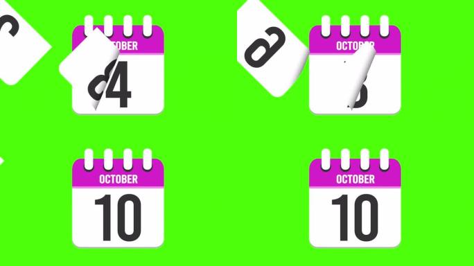 10月10日。日历出现，页面下降到10月10日。绿色背景，色度键 (4k循环)