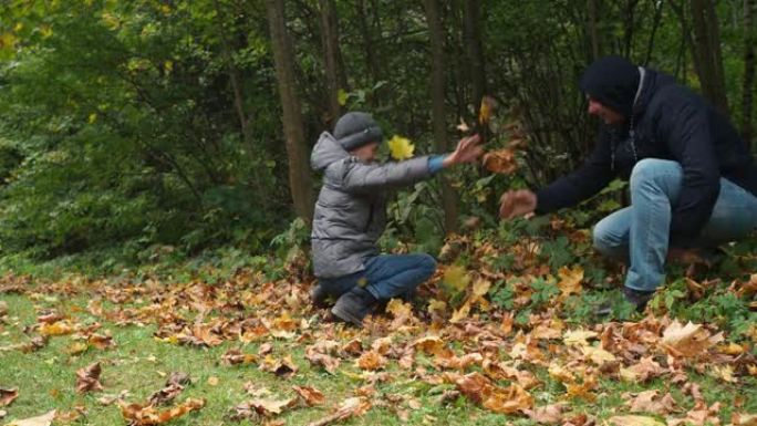 父子俩互相扔落叶。公园里的秋天乐趣。金秋。家庭