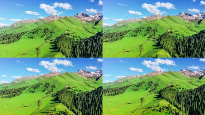 新疆绿色草原自然景观航拍