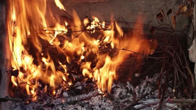 干树枝燃烧，火燃烧。烧掉的木头煤。起初，火很小，然后长大