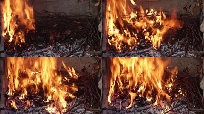 干树枝燃烧，火燃烧。烧掉的木头煤。起初，火很小，然后长大