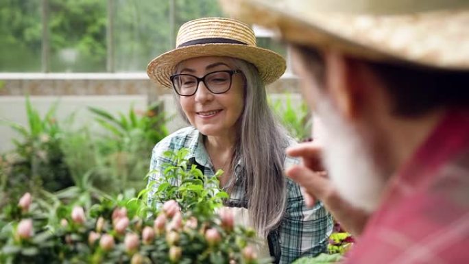 锦衣玉食，幸运而满足的高级白发妇女，戴着草帽，专心致志地听着大胡子的丈夫讲述温室里的绿色植物
