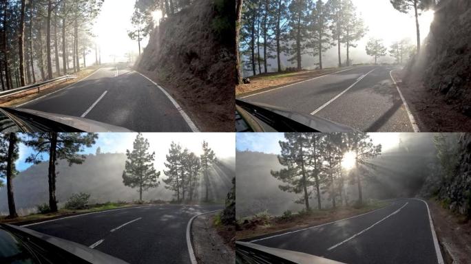 太阳在松树林的山路上冲破云层