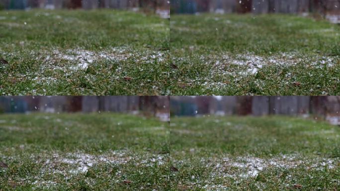 雪落在分配花园的一条小路的草坪上。凉爽的光线。