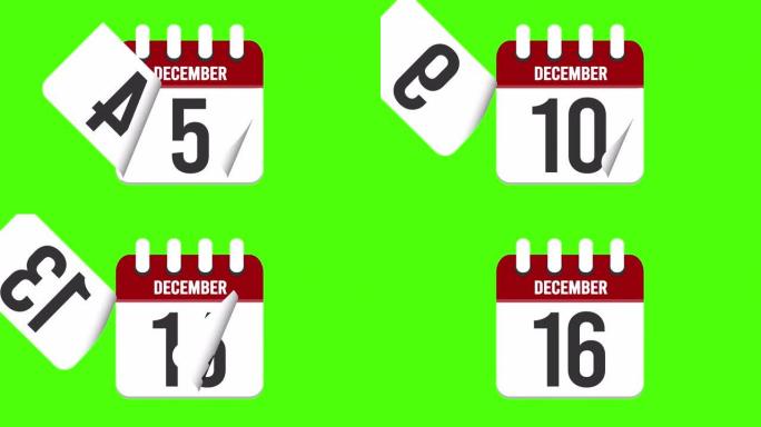 12月16日。日历出现，页面下降到12月16日。绿色背景，色度键 (4k循环)
