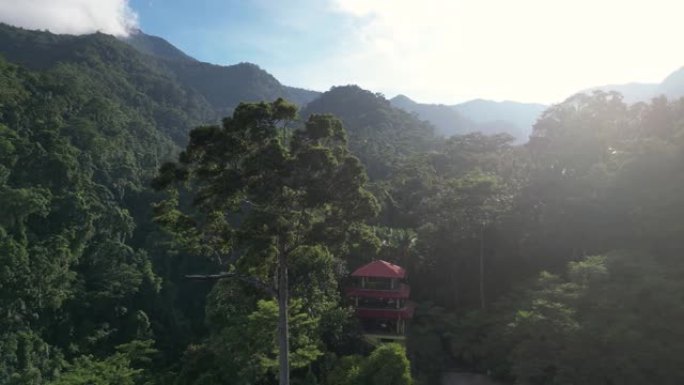 菲律宾山区热带雨林风景如画的鸟瞰图。