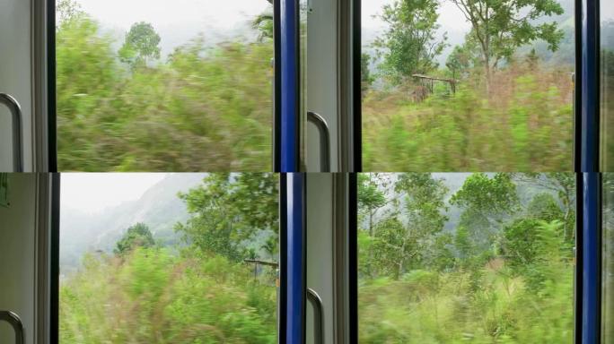 通过打开的火车门，令人惊叹的热带绿色景观自然景观。
