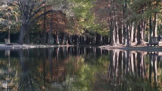 美丽的秋季风景4k慢动作镜头，色彩缤纷的森林，在阳光明媚的日子里像画一样在宁静的湖中倒影，循环视频。
