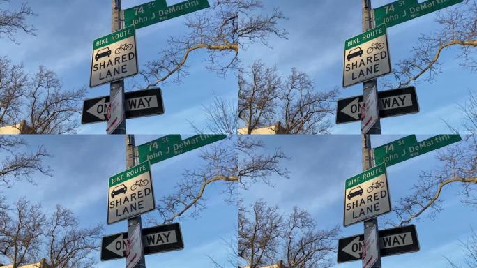 纽约市布鲁克林湾岭的自行车路线共享车道标志
