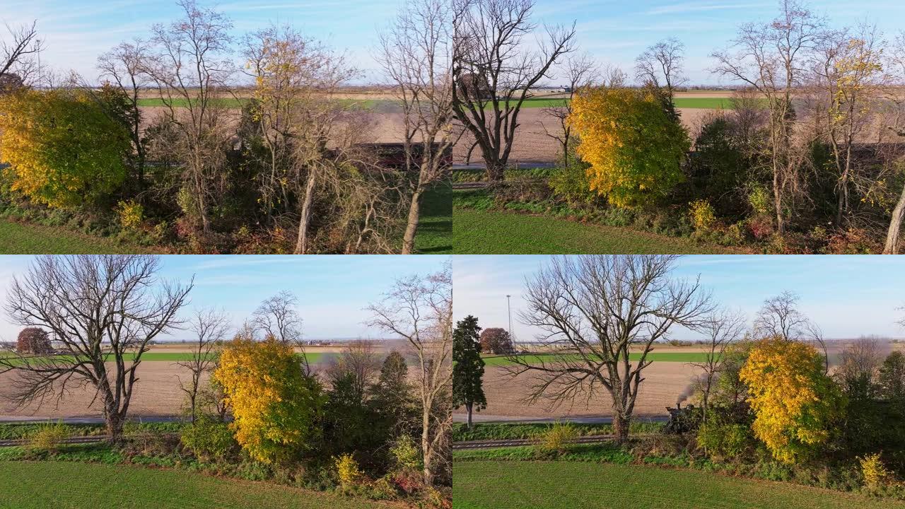 在阳光明媚的秋天，蒸汽火车穿过农田时在树后行驶的空中平行视图