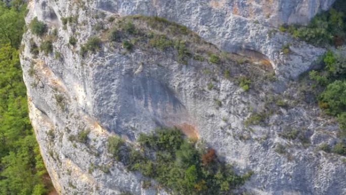 欧亚狮鹫 (Gyps fulvus) 在山间峡谷中飞翔