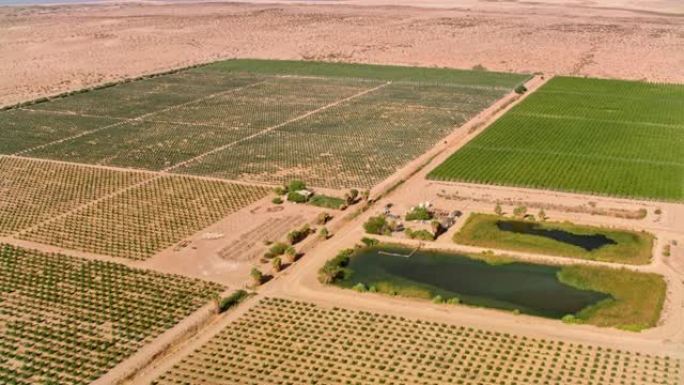 加利福尼亚州棕榈泉附近沙漠中部的空中农业用地