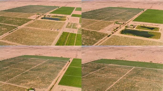 加利福尼亚州棕榈泉附近沙漠中部的空中农业用地