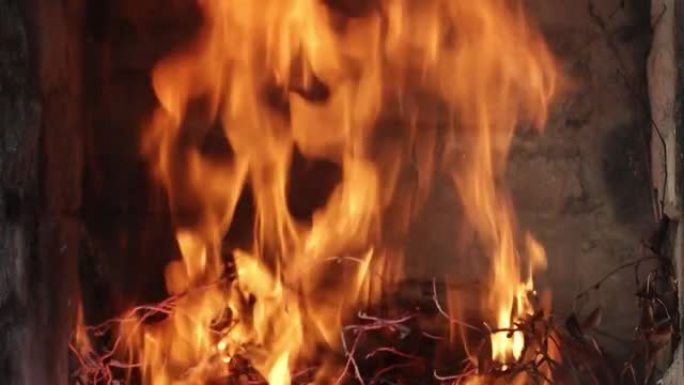 干树枝燃烧，火燃烧。烧掉的木头煤。大火焰高，鲜红色33
