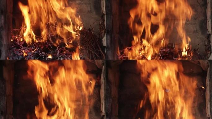 干树枝燃烧，火燃烧。烧掉的木头煤。大火焰高，鲜红色33